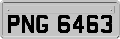 PNG6463