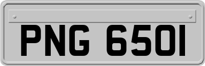 PNG6501