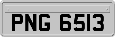 PNG6513