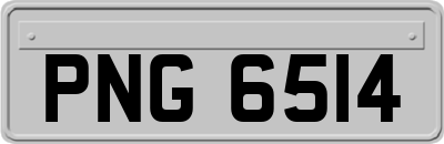 PNG6514