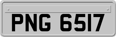 PNG6517