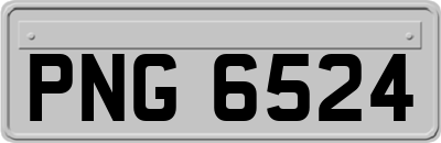 PNG6524