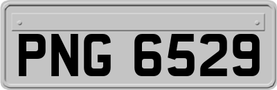 PNG6529