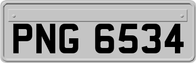 PNG6534