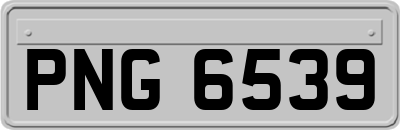 PNG6539