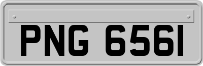 PNG6561