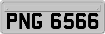 PNG6566