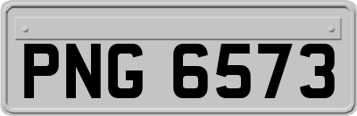 PNG6573
