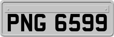 PNG6599