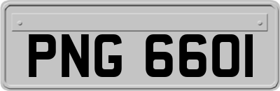 PNG6601