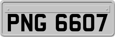 PNG6607