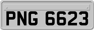 PNG6623