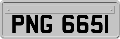 PNG6651