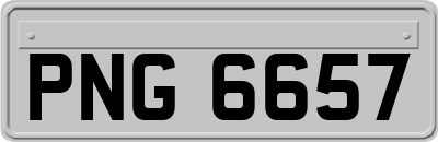PNG6657