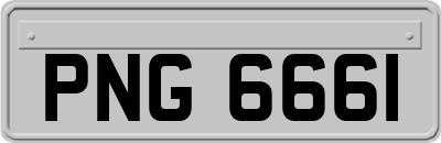 PNG6661