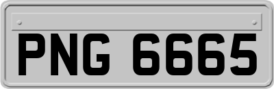 PNG6665