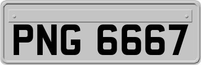 PNG6667