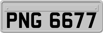 PNG6677