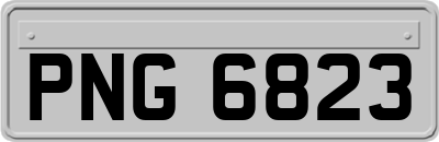 PNG6823