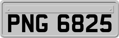 PNG6825