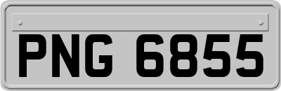 PNG6855
