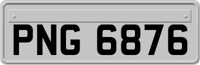 PNG6876