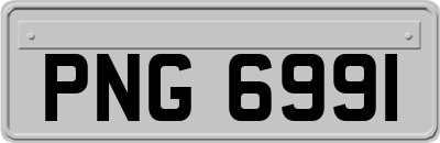 PNG6991