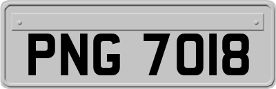 PNG7018