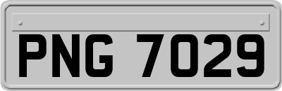 PNG7029