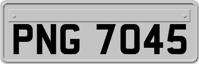 PNG7045