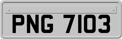 PNG7103