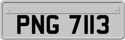 PNG7113