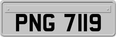 PNG7119