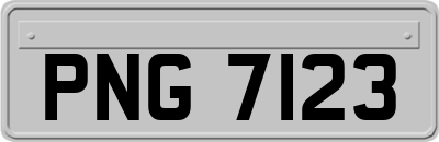 PNG7123