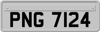 PNG7124