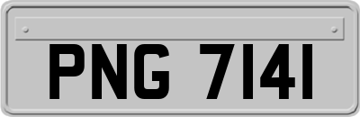 PNG7141