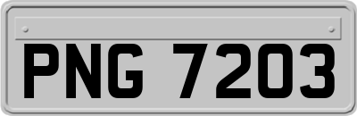 PNG7203