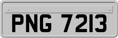 PNG7213