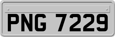PNG7229