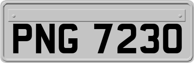 PNG7230