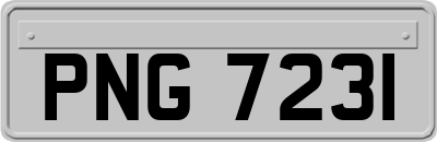 PNG7231