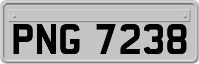 PNG7238