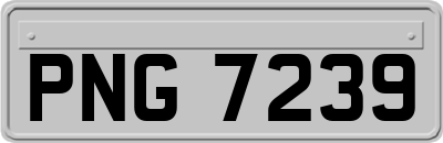 PNG7239