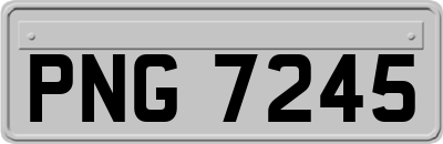 PNG7245