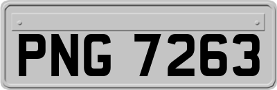 PNG7263