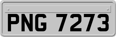 PNG7273