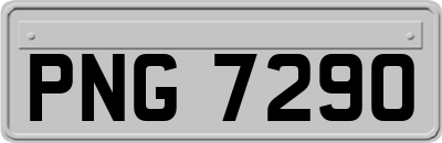PNG7290