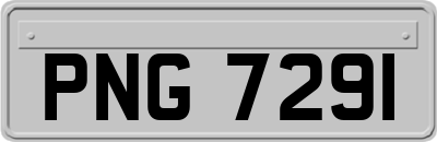 PNG7291