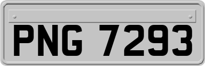 PNG7293