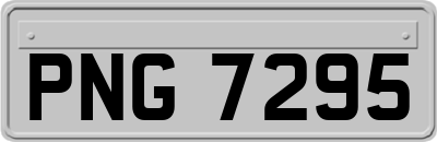 PNG7295
